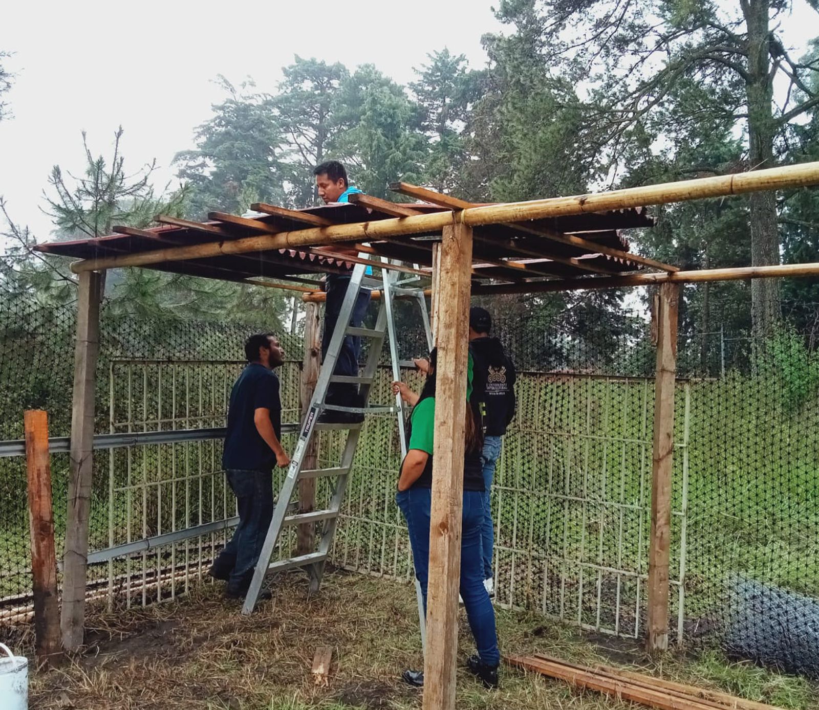 Reubicación del Huerto