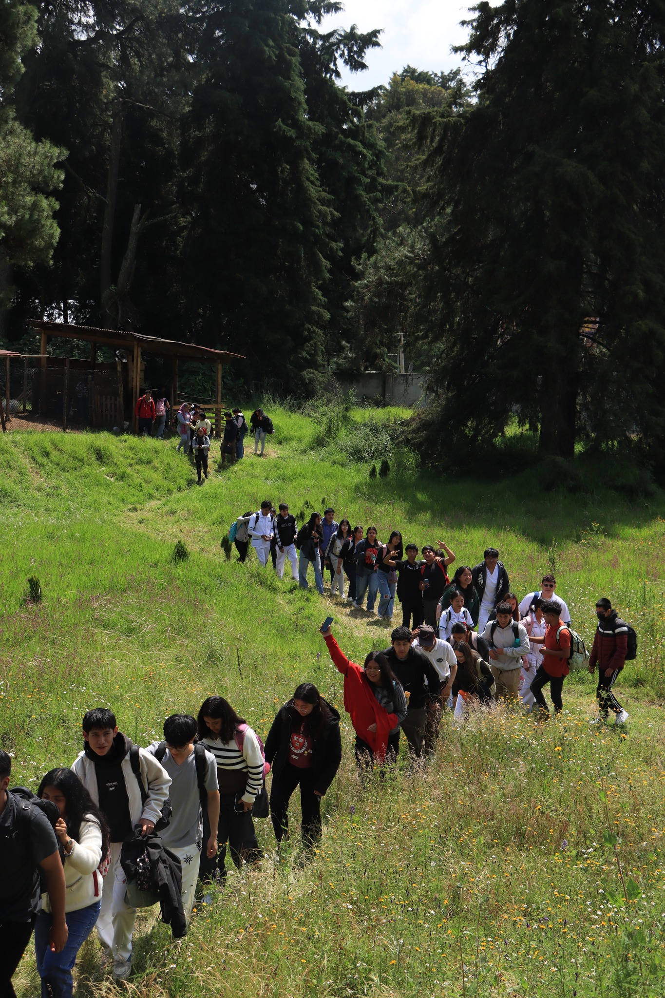 Día Mundial de la Alimentación