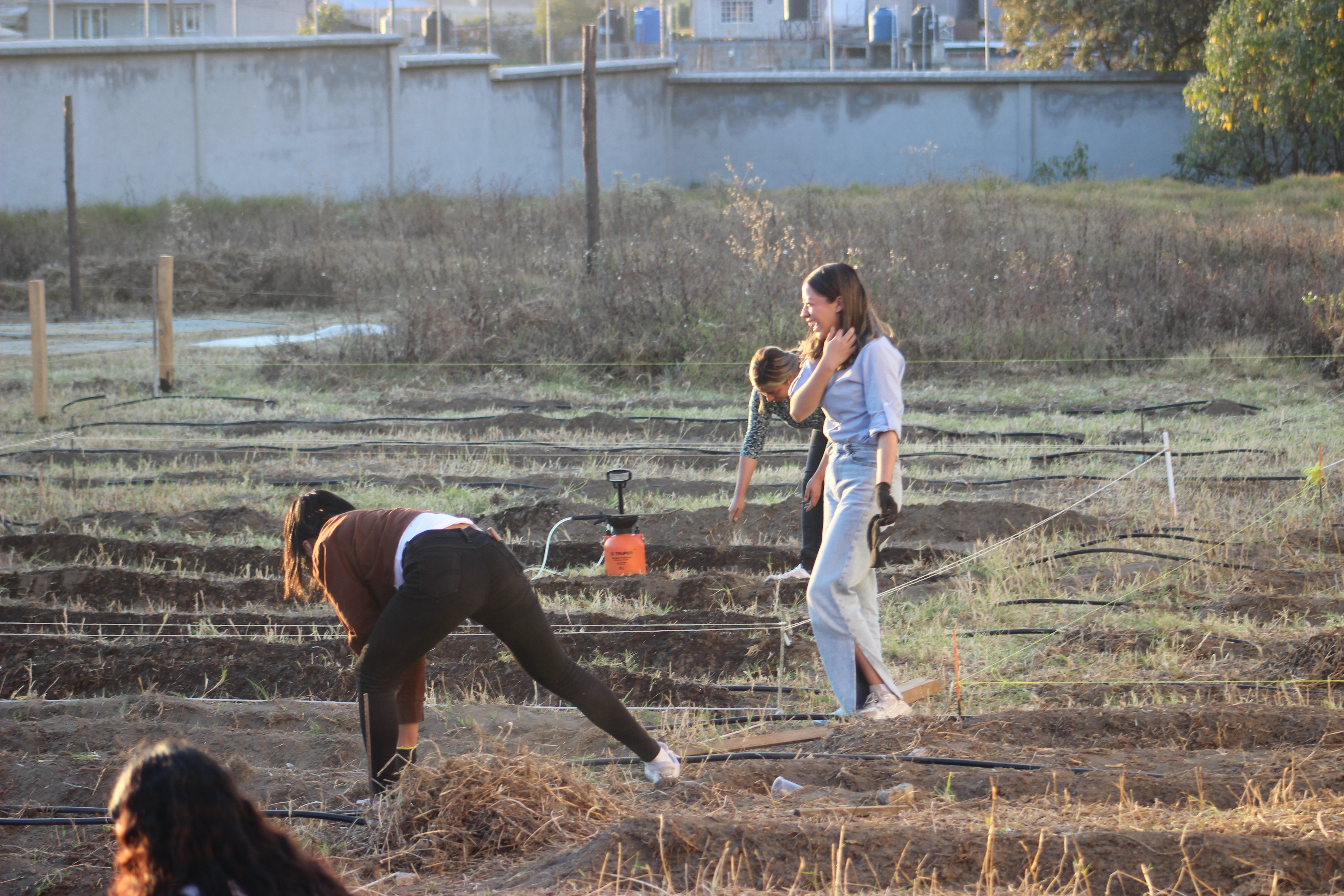 Detalle establecimiento de cultivos