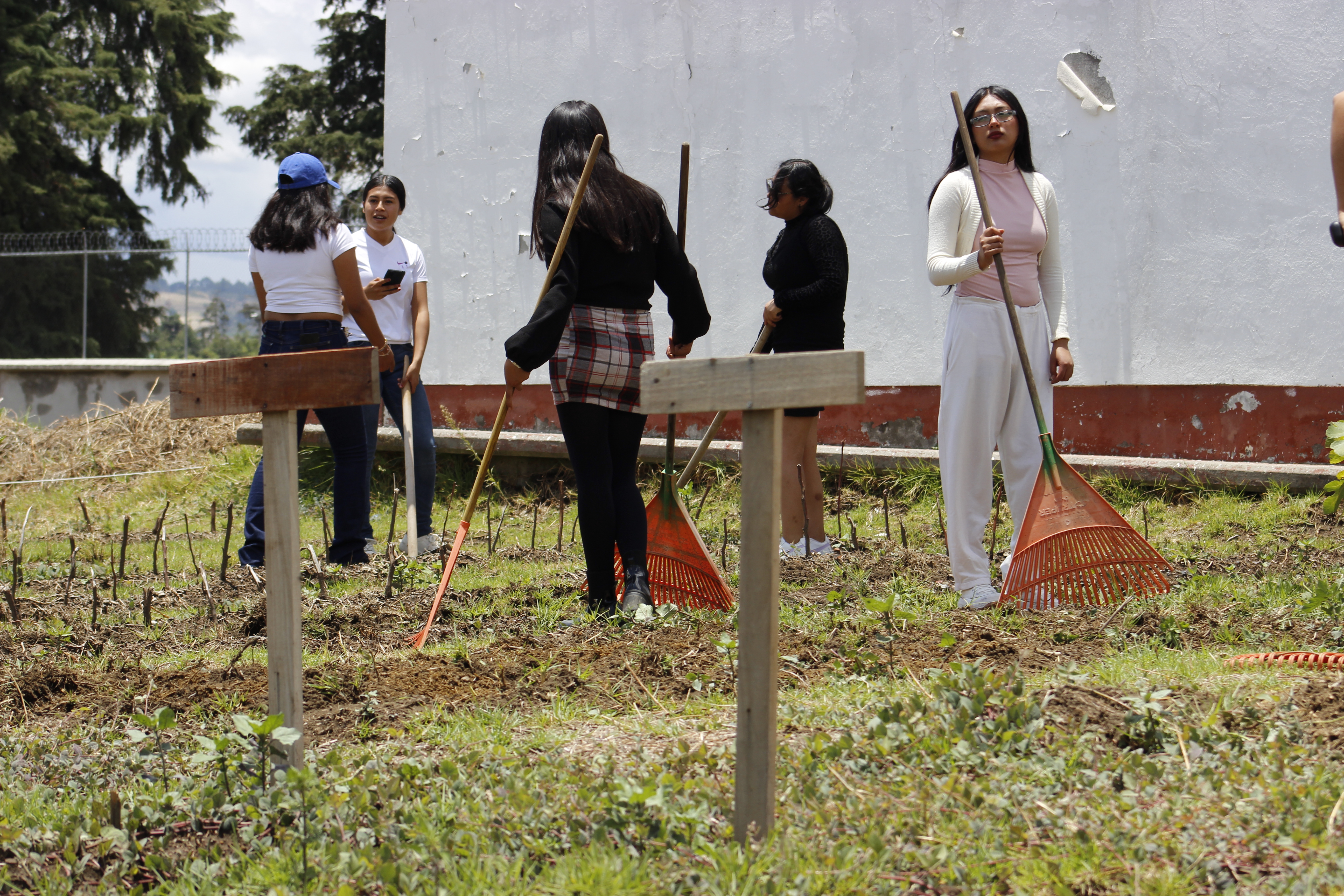 Video agricultura urbana
